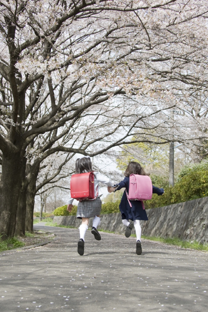 イラスト＆写真のストックフォトwaha（ワーハ）　人物、日本人、学生、小学生、女の子、2人、友達、屋外、春、入学、桜、通学、走る、全身、後ろ姿、うしろ姿、後姿、背中、子供、子ども、こども、季節、四季　w2-7227b