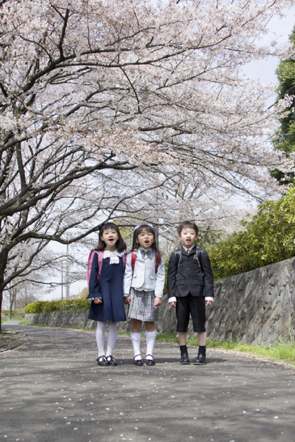 イラスト＆写真のストックフォトwaha（ワーハ）　人物、日本人、学生、小学生、男の子、女の子、3人、友達、屋外、春、入学、桜、通学、叫ぶ、全身、子供、子ども、こども、季節、四季　w2-7229b