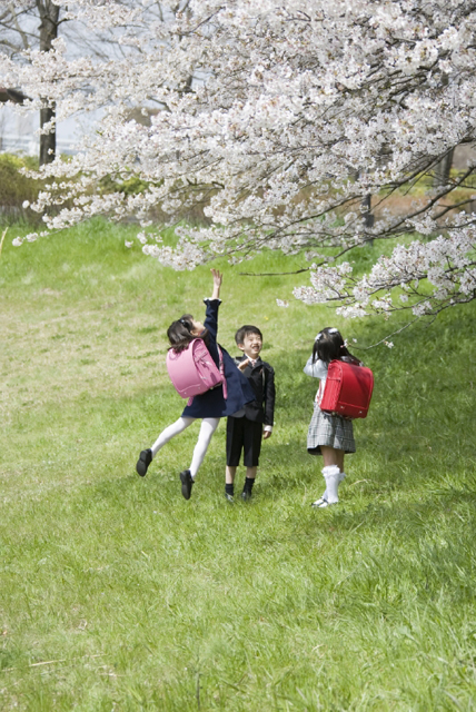イラスト＆写真のストックフォトwaha（ワーハ）　人物、日本人、学生、小学生、男の子、女の子、3人、友達、屋外、公園、春、入学、桜、通学、ジャンプ、全身、後ろ姿、うしろ姿、後姿、背中、とぶ、はねる、子供、子ども、こども、季節、四季　w2-7233b