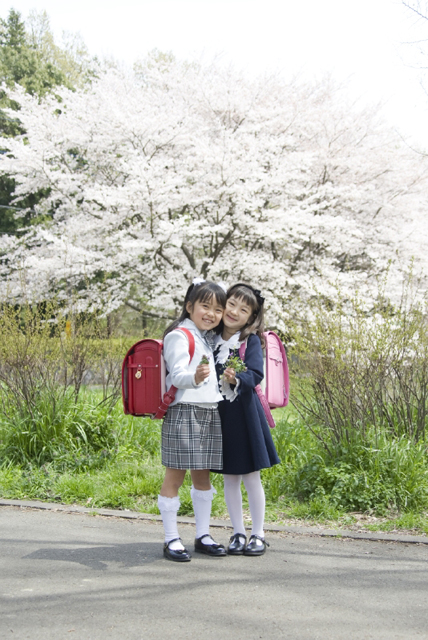 イラスト＆写真のストックフォトwaha（ワーハ）　人物、日本人、学生、小学生、女の子、2人、友達、屋外、春、入学、桜、通学、持つ、全身、笑顔、子供、子ども、こども、笑顔、笑い、笑う、スマイル、季節、四季　w2-7249b