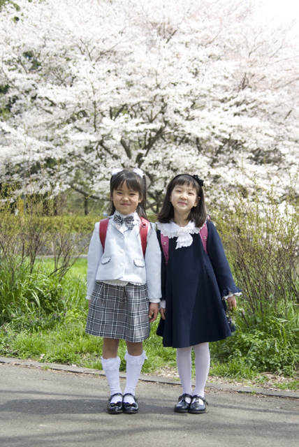イラスト＆写真のストックフォトwaha（ワーハ）　人物、日本人、学生、小学生、女の子、2人、友達、屋外、春、入学、桜、通学、全身、正面、子供、子ども、こども、季節、四季　w2-7252b