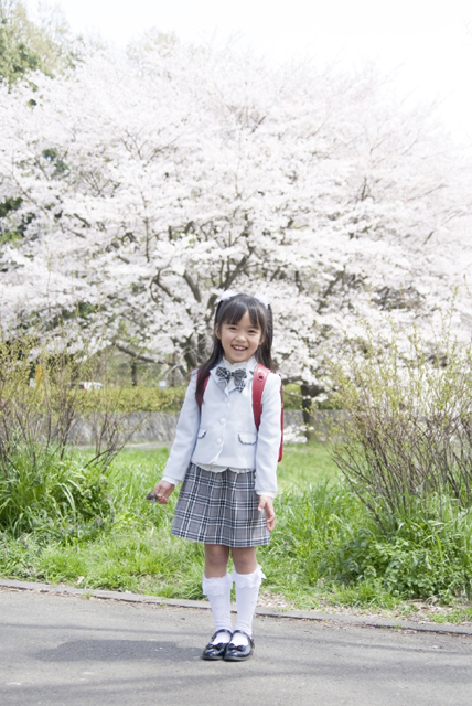 イラスト＆写真のストックフォトwaha（ワーハ）　人物、日本人、学生、小学生、女の子、1人、屋外、春、入学、桜、通学、全身、正面、笑顔、子供、子ども、こども、笑顔、笑い、笑う、スマイル、季節、四季　w2-7254b