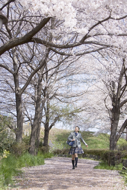 イラスト＆写真のストックフォトwaha（ワーハ）　人物、日本人、女性、10代、学生、中学生、高校生、女子高生、1人、屋外、春、入学、桜、通学、公園、走る、全身、季節、四季　w2-7272b
