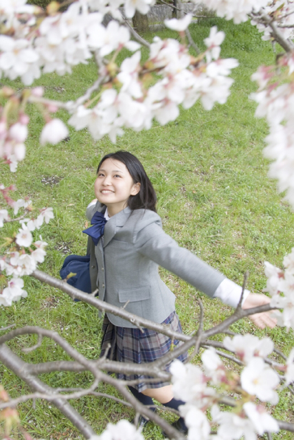イラスト＆写真のストックフォトwaha（ワーハ）　人物、日本人、女性、10代、学生、中学生、高校生、女子高生、1人、屋外、公園、春、入学、桜、笑顔、ハイアングル、笑顔、笑い、笑う、スマイル、季節、四季　w2-7331b
