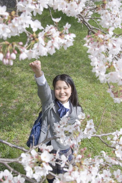 イラスト＆写真のストックフォトwaha（ワーハ）　人物、日本人、女性、10代、学生、中学生、高校生、女子高生、1人、屋外、公園、春、入学、桜、ポーズ、笑顔、正面、ハイアングル、笑顔、笑い、笑う、スマイル、季節、四季　w2-7335b