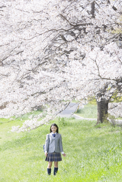 イラスト＆写真のストックフォトwaha（ワーハ）　人物、日本人、女性、10代、学生、中学生、高校生、女子高生、1人、屋外、公園、春、入学、桜、正面、全身、季節、四季　w2-7345b