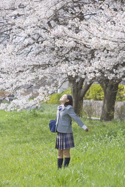 イラスト＆写真のストックフォトwaha（ワーハ）　人物、日本人、女性、10代、学生、中学生、高校生、女子高生、1人、屋外、公園、春、入学、桜、リラックス、伸び、全身、横向き、季節、四季　w2-7352b