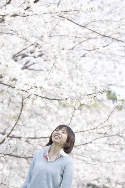 イラスト＆写真のストックフォトwaha（ワーハ）　人物、日本人、女性、20代、30代、家族、主婦、1人、屋外、公園、春、桜、木、笑顔、上半身、笑顔、笑い、笑う、スマイル、季節、四季　w2-7903b
