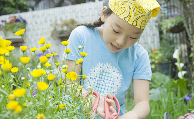 イラスト＆写真のストックフォトwaha（ワーハ）　人物、日本人、子供、女の子、1人、屋外、庭、ガーデニング、花　w2-8456b