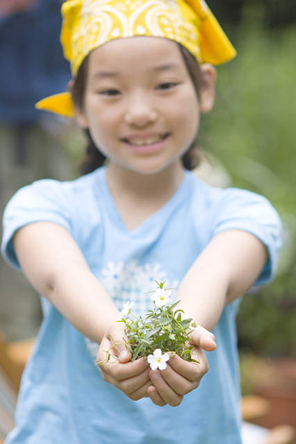 イラスト＆写真のストックフォトwaha（ワーハ）　人物、日本人、子供、女の子、1人、屋外、ガーデニング、植物、花、手、エコロジー、ロハス、正面　w2-8478b