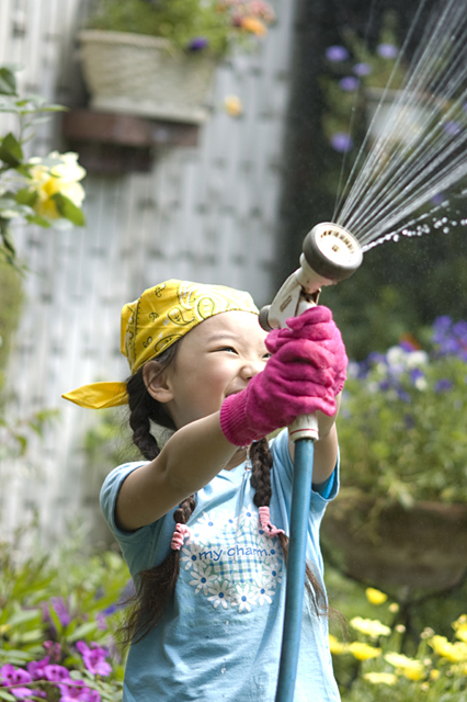 イラスト＆写真のストックフォトwaha（ワーハ）　人物、日本人、子供、女の子、1人、屋外、庭、ガーデニング、水やり　w2-8592b